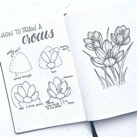 How To Draw Perfect Flower Doodles For Bullet Journal Spreads