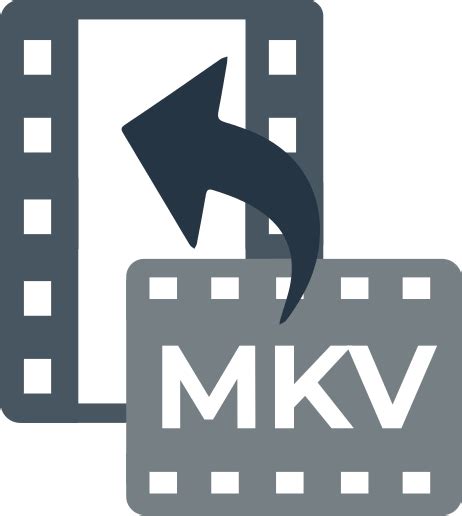 Here Is How To Convert Mkv Files Diskinternals