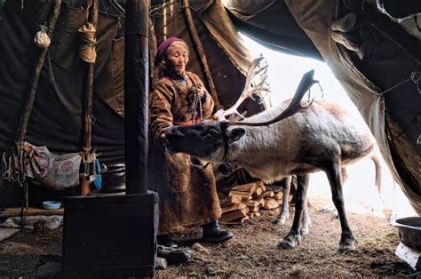 the tsaatan dukha reindeer nomads from the mongolian north or the dark heavens by hamid