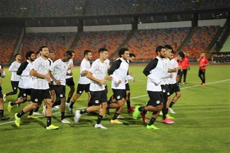 أفضل صور وخلفيات منتخب البرازيل. رئيس بعثة منتخب البرازيل يشيد بحفاوة الاستقبال في مصر ...