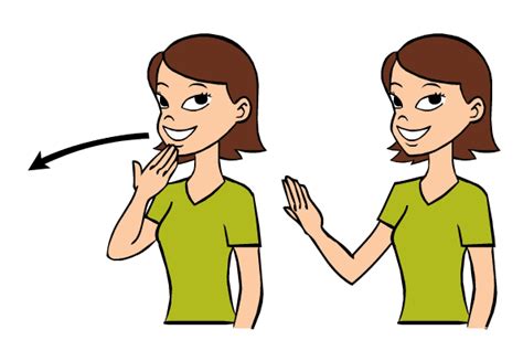 How To Say Your Welcome In Sign Language The Occipital Lobe Is