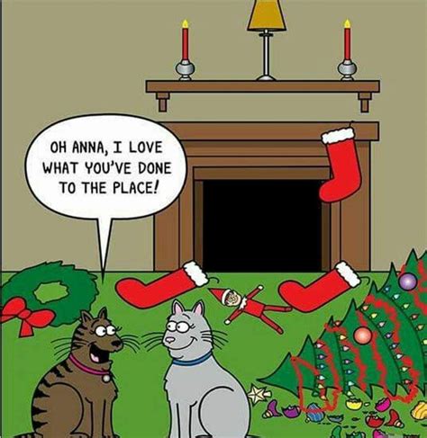 Pin By Cyndy Dent Brooks Fetty On Christmas Cats Cat Memes Cat Jokes