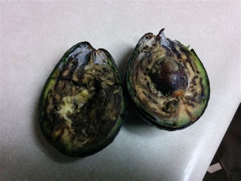 Every community is unique, but our common goal is to be welcome in the. Nasty, rotten avocado - $.98 | Yelp