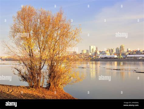 Autumn Tree On The Bank Of The Ob River River Port Of The Capital Of