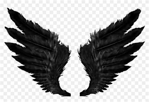 Angel Wings Png Black Angel Wings Black Angels Wings Wallpaper