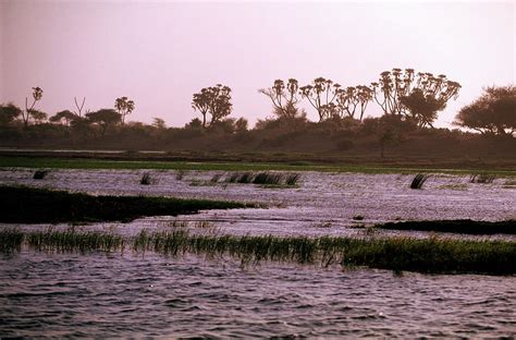 Mali Banks Of The Niger River Photograph By Guiziou Franck Hemisfr