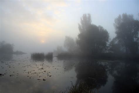 Misty Morning Landscape Photos