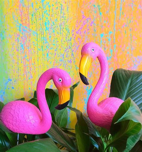 Pin By Funky Aesthetics On Aesthetic Tropical Flamingo Pink