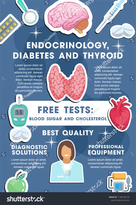 Endocrinology Diabetes Thyroid Medical Poster Healthcare Stock Vector