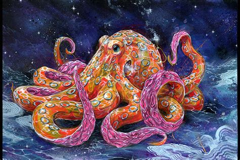 Octopus Paintings