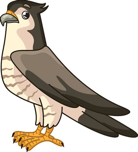 23 Falcon Clipart  Alade