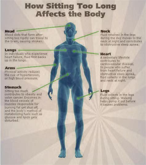 How Sitting Too Long Affects Your Body Health Facts Health Health