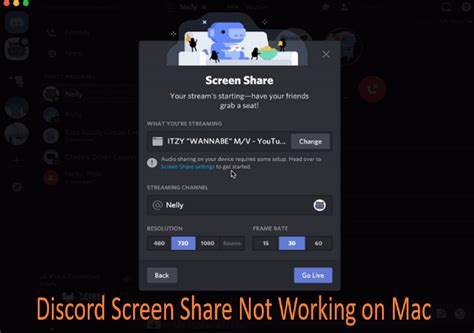 Ways To Fix Discord Screen Share Not Working Mac