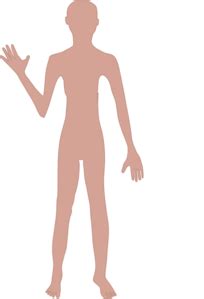 Download Female Body Real One Clip Art at Clker.com - vector clip art online, royalty free & public domain