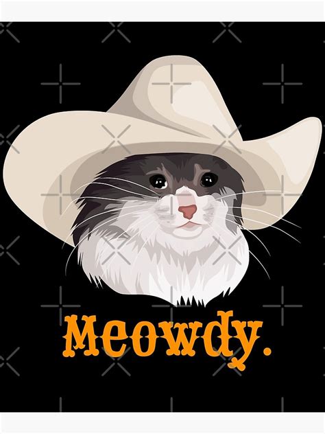 Cat Cowboy Hat Meme Instagram Page Adds Cowboy Hats To Cat Photos And