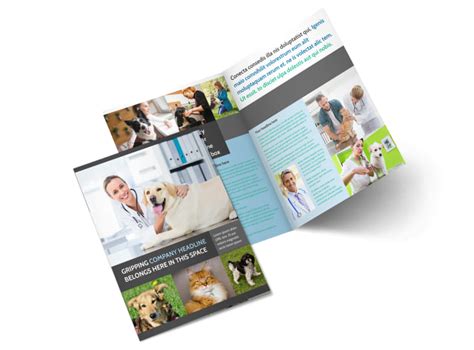Veterinarian Brochure Template Mycreativeshop