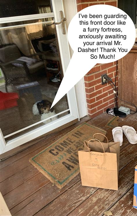 I just delivered to this little guy, so I made him a meme! : r/doordash