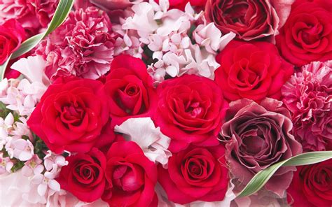 Get 19  Love Romantic Beautiful Flowers Images