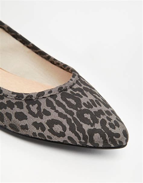 Oasis Leopard Print Point Flat Shoes In Grey Gray Lyst