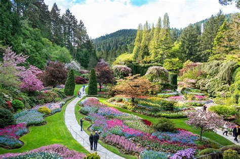 Butchart Gardens Reopens Amid Pandemic With Some New Rules
