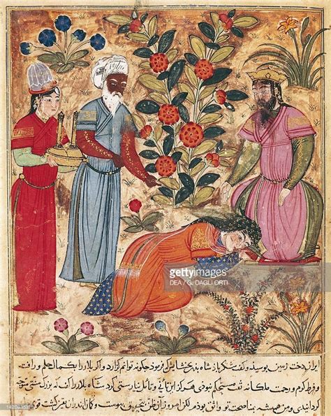Medieval Islamic Medicine Mobi Free Scientific Books