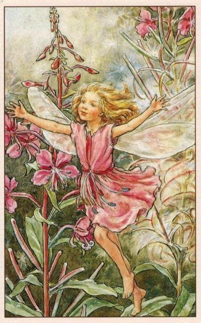 Cicely Mary Barker The Rose Bay Willow Herb Fairy Flower Fairies Of