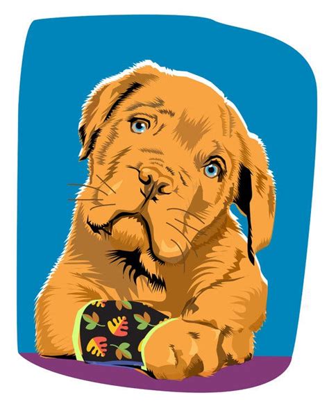 Pet assure saved us hundreds of dollars on my rescue dog's luxating patella surgery and we were able to get high quality care at a hospital that accepted the card. More Pet Insurance Policies Are Being Sold. But Are They ...