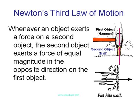 Newton S 3rd Law Explained