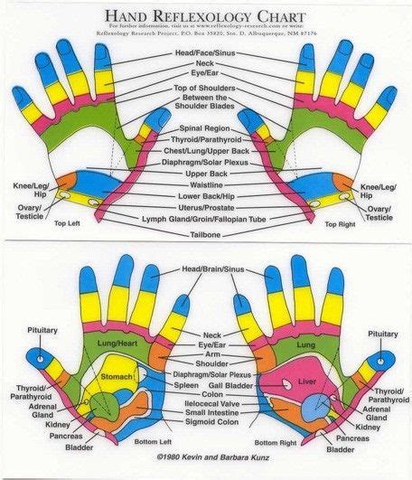 Reflexology Health Tips Hand Reflexology