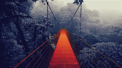 Pngtree provide bridge pictures in.ai, eps and psd files format. Bridge HD Wallpaper | Background Image | 1920x1080 | ID ...