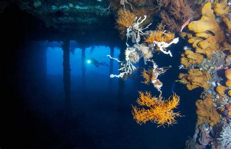 Amazing underwater attractions hiding in the world's seas - grandpitontours.com