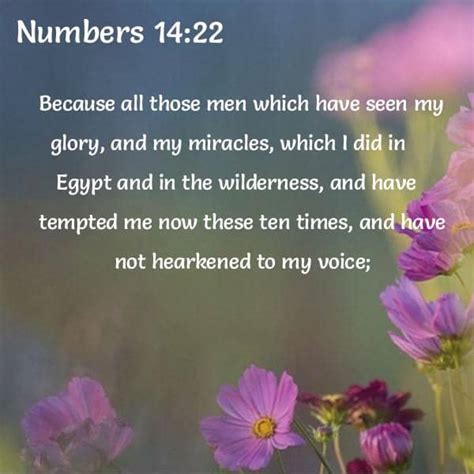 Bible Verses About Miracles 27 Passages King James Version Kjv