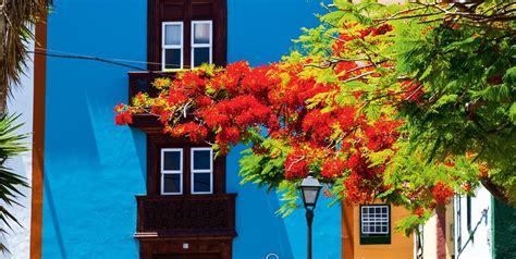 Maybe you would like to learn more about one of these? 10 curiosidades sobre la foto "La niña afgana" de Steve ...