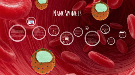 Nanosponges By Megan Smith On Prezi
