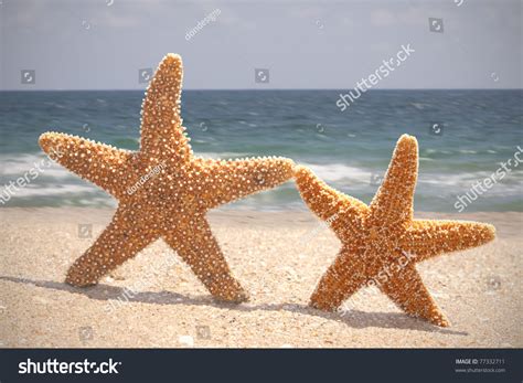 Two Starfish Dancing On The Beach Stock Photo 77332711 Shutterstock