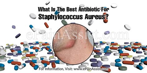 Best Antibiotic For Staph Aureus