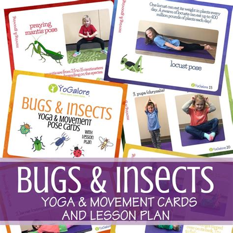 Buginsect Theme Yoga And Movement Pose Cards With Lesson