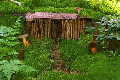House For Dwarfs Free Stock Photo Public Domain Pictures