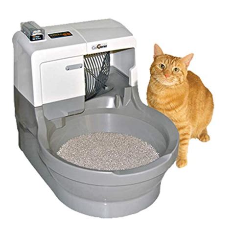 Complete Catgenie Self Cleaning Litter Box Review