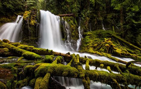 Обои лес водопад мох Орегон каскад Oregon брёвна Upper Downing