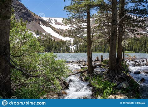 Virginia Lakes And A Small Stream Run Off In The Summer In Mono