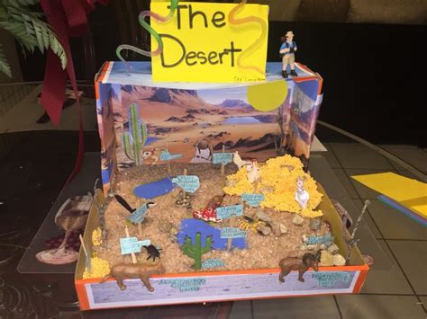 Desert Ecosystem Diorama 4th Grade Biomes Project Ecosystems