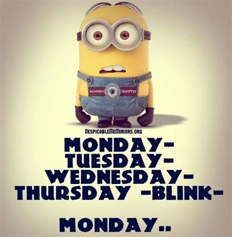 Good Morning Happy Monday 😌 Minions Quotes Friday Humor Its Friday Quotes