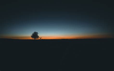 Download Wallpaper Tree Horizon Minimalism Sunset Minimalist