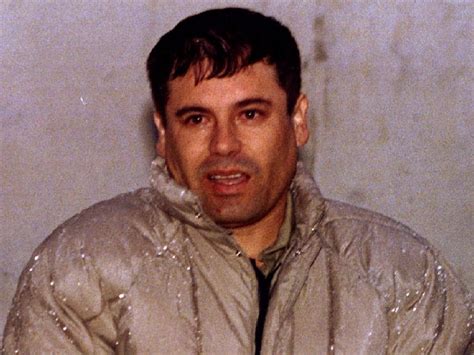 Rise Of Mexican Drug Lord El Chapo Business Insider