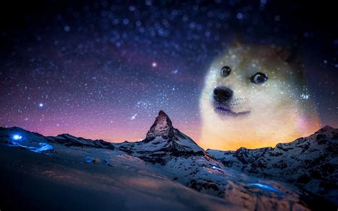 Galaxy Doge Wallpapers Wallpaper Cave