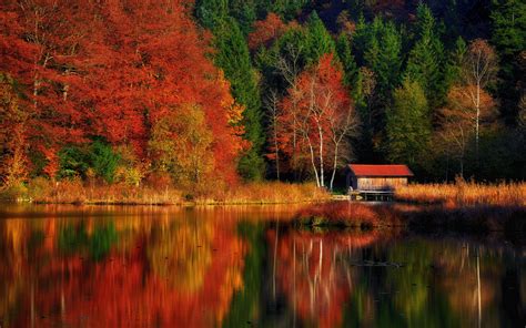 Download Wallpaper 2560x1600 House Trees Forest Lake Reflection