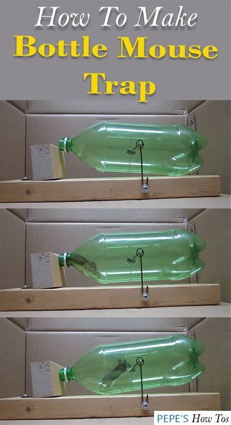 Mouse trap from plastic bottle,easy trap to catch mouse thanks for watching.please like,share,comment and subscribe. How To Make A Mouse Trap From Plastic Bottle #mousetrap ...