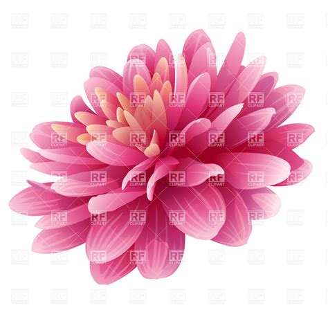 Dahlia Flower Clipart 20 Free Cliparts Download Images On Clipground 2024