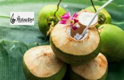 Manfaat air kelapa yang perlu kita ketahui - The Malaya Post